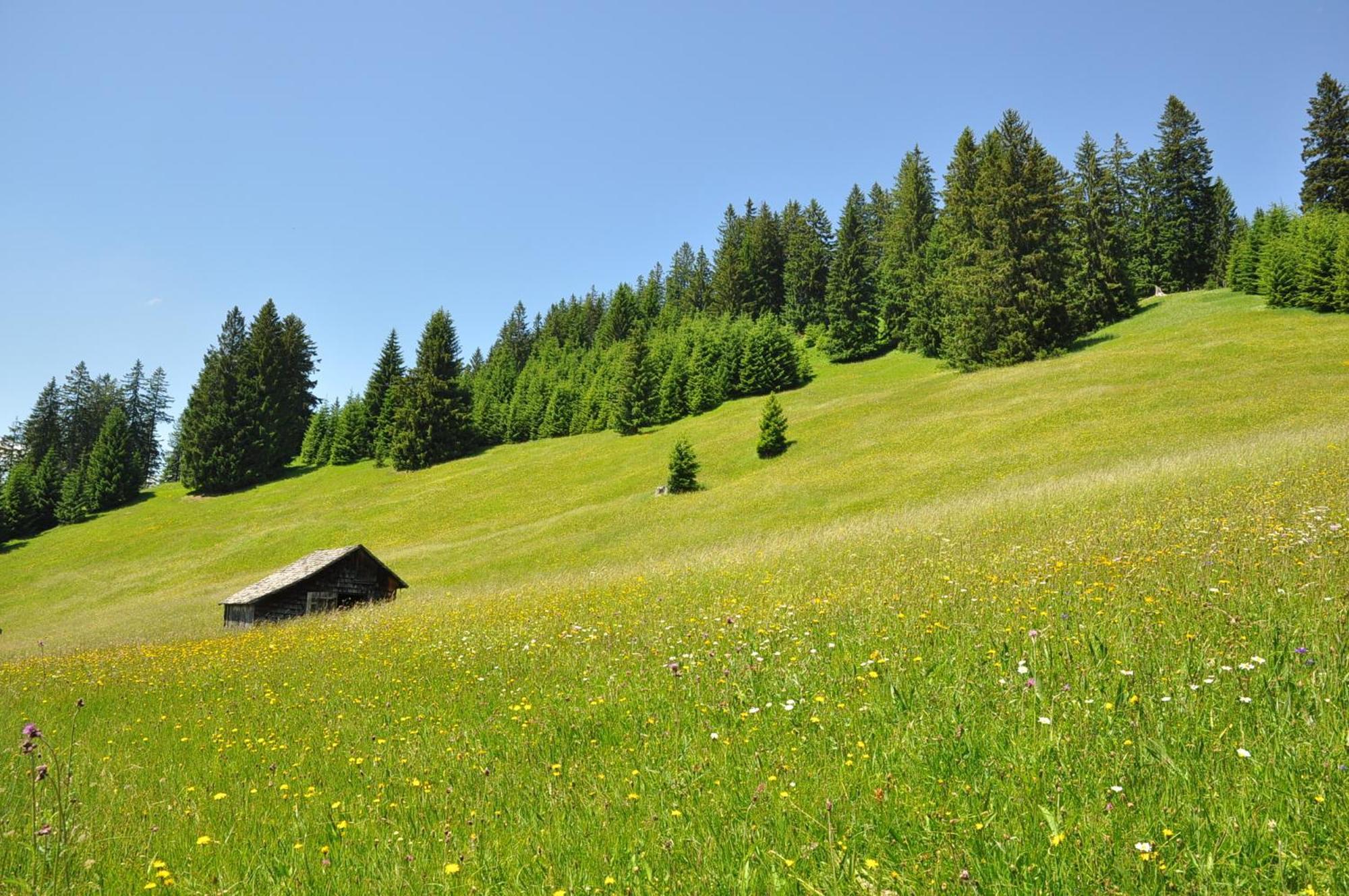 Landhaus Alpensonne Шаттвальд Экстерьер фото